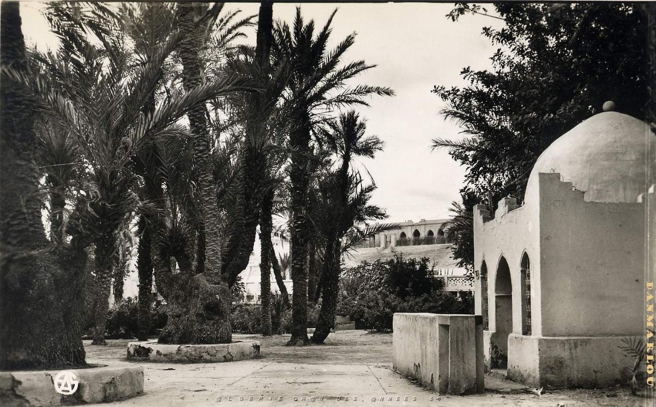 Colomb bechar 501- Square COLLECTION DES AMIS DE ND DE SANTA CRUZ.jpg